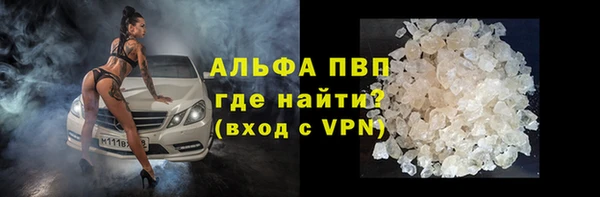 молекула духа Медвежьегорск