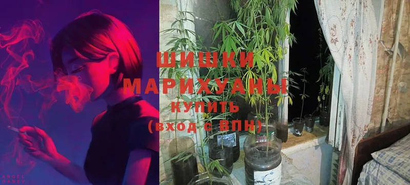 Бошки марихуана THC 21%  даркнет сайт  Черепаново 